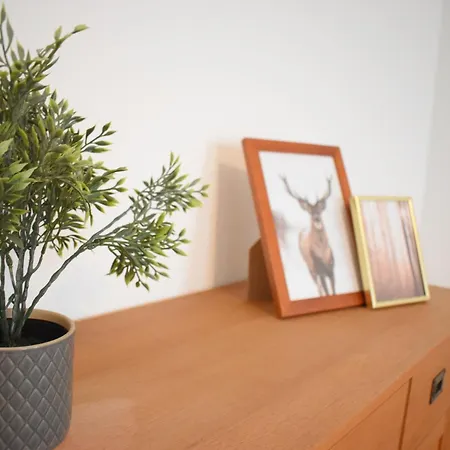 Apartment Ob Sensbachtal *