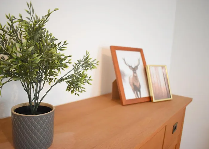 Apartment Ob Sensbachtal *